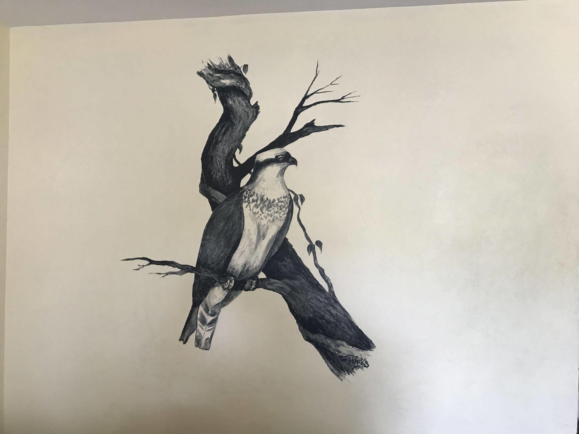 Cedar Inn Cedar Key Εξωτερικό φωτογραφία